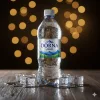Dorna Spring Water